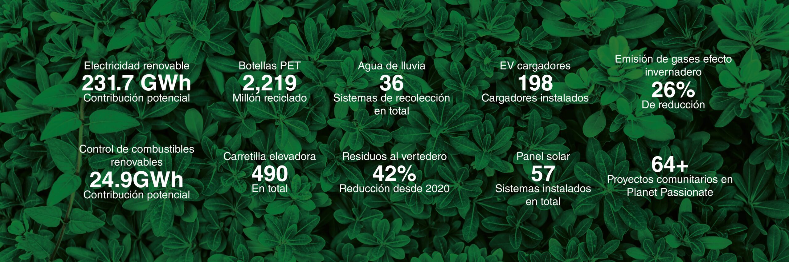 banner de datos scaled