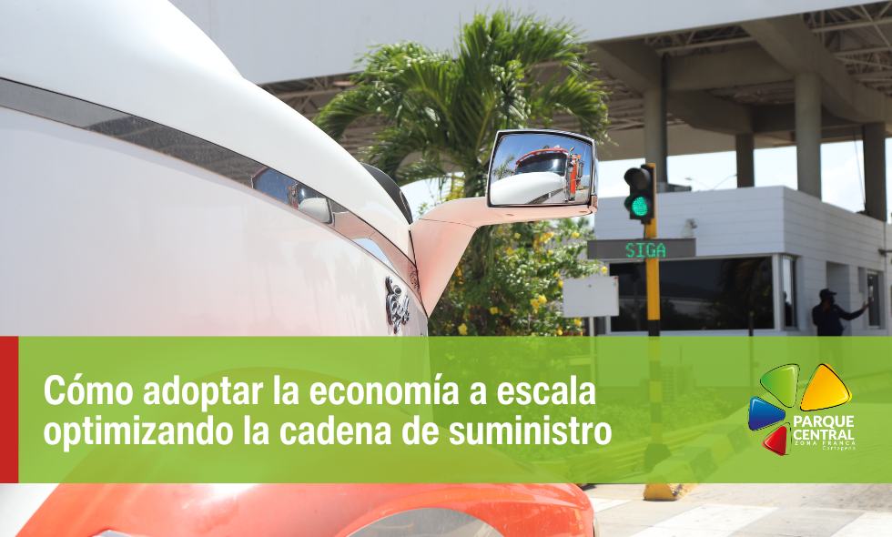 economía a escala